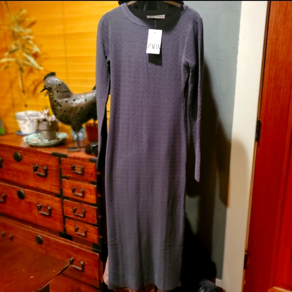 Zara Long-Sleeved Long Dress - New